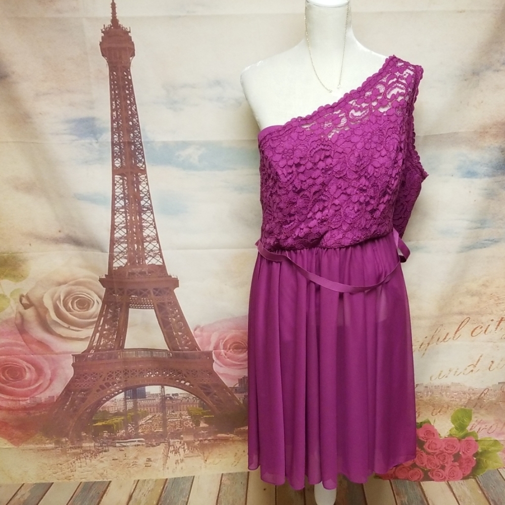 David's Bridal one shoulder lace formal dress
